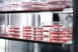 二氧化碳培养箱做培养时注意培养箱湿度、防止箱内污染做好箱内消毒